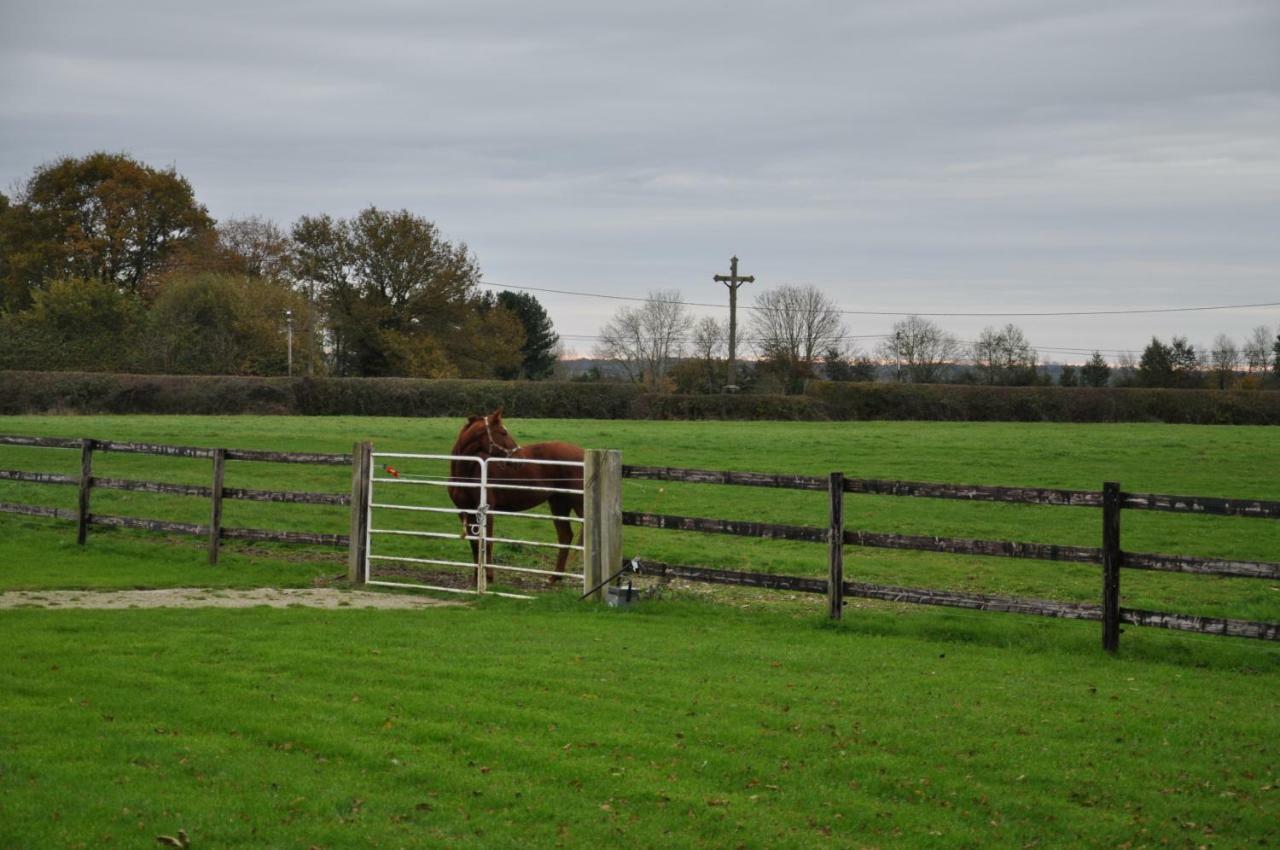 B&B Haras De La Cour Fleury Saint-Michel-de-Livet Exteriör bild