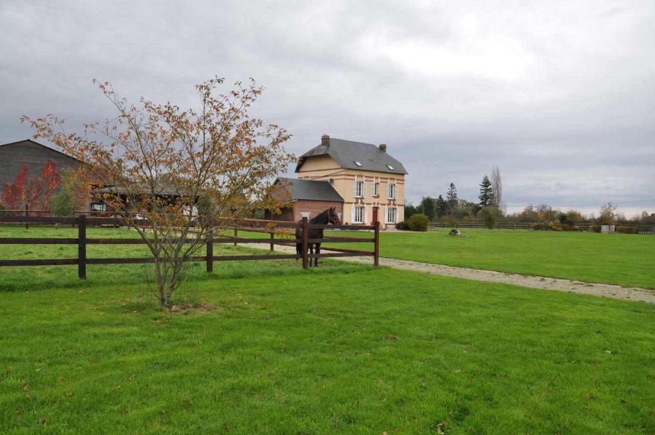 B&B Haras De La Cour Fleury Saint-Michel-de-Livet Exteriör bild