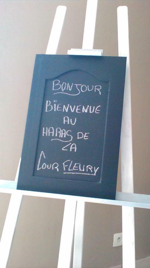 B&B Haras De La Cour Fleury Saint-Michel-de-Livet Exteriör bild