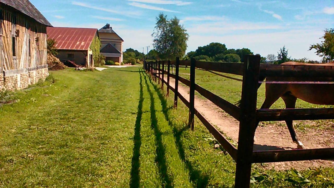 B&B Haras De La Cour Fleury Saint-Michel-de-Livet Exteriör bild